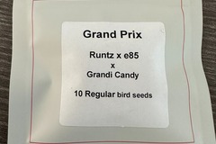 Vente: LIT Farms Grand Prix ((Runtz x e85) x Grandi Candy)