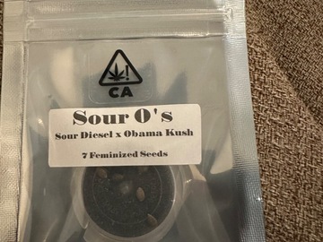 Sell: Sour O’s (Sour Diesel x Obama Kush)