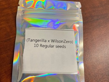 Sell: (Tangerilla x WilsonZero) 10 Regs