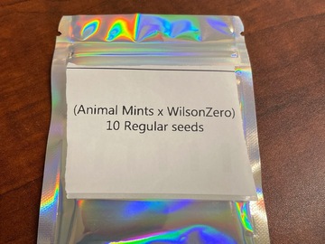 Vente: (Animal Mints x WilsonZero) 10 Regs
