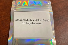Vente: (Animal Mints x WilsonZero) 10 Regs