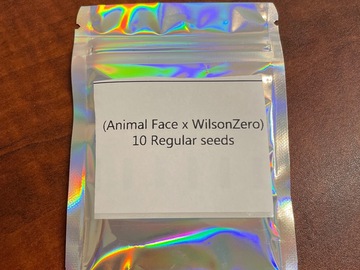 (Animal Face x WilsonZero) 10 Regs