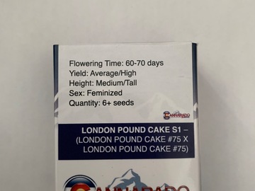 Sell: Cannarado lond pound cake s1