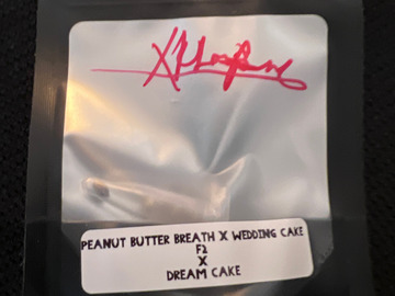 Sell: Xklusive Genetics PBB x Wedding Cake x Dream Cake 7 pack