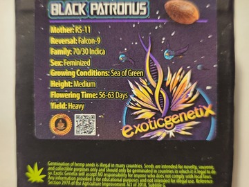 Sell: Black Patronus by Exotic Genetix