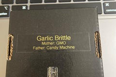 Sell: Garlic Brittle By 808 Genetics