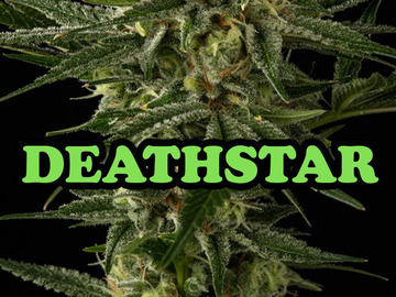 Sell: Deathstar
