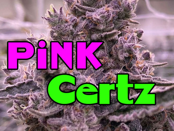 Sell: Pink Certz