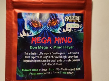 Sell: Mega Mind from Solfire Gardens