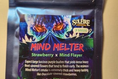 Vente: Mind Melter From Solfire Gardens