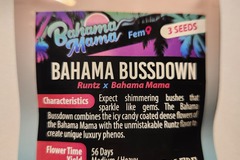 Vente: Bahama Bussdown from Solfire Gardens