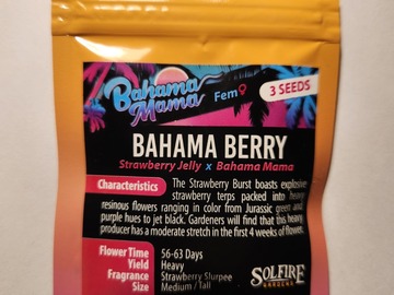 Sell: Bahama Berry from Solfire Gardens