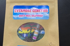 Vente: Garlic Cookies X Odder Popz By Evermore Genetics