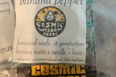 Vente: Cosmic Wisdom Seeds - Banana Pepper