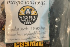 Vente: Cosmic Wisdom Seeds - Magic Journeys