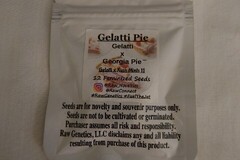 Vente: RAW Genetics - Gelatti Pie