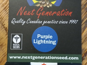 Sell: Purple Lightning