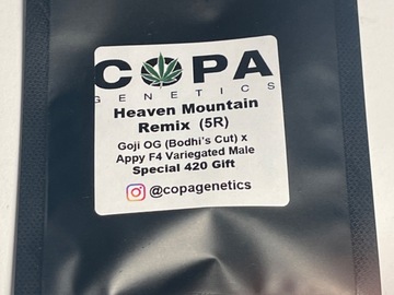 Vente: Copa Heaven Mountain Remix