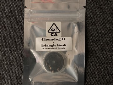 Vente: Chemdog D x Triangle Kush - CSI:Humboldt