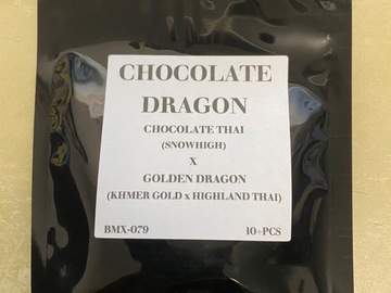 Sell: Chocolate Dragon
