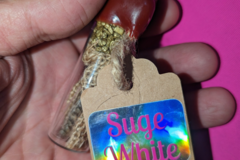 Vente: Sunken Treasure Seeds : Suge White( Sugarcane x HighMac)