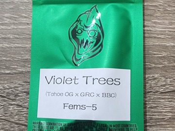 Vente: Violet Trees - Robin Hood Seeds