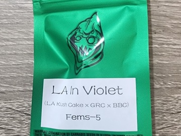 Vente: LA in Violet - Robin Hood Seeds