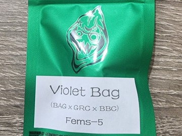 Venta: Violet Bag - Robin Hood Seeds