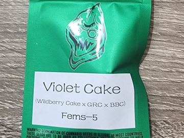 Venta: Violet Cake - Robin Hood Seeds
