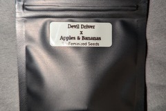Vente: Devil Driver x Apples & Bananas