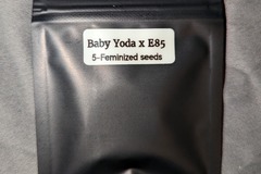 Vente: Baby Yoda x E 85