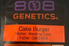 Vente: Cake Burger By 808 Genetics