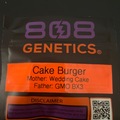Vente: Cake Burger By 808 Genetics