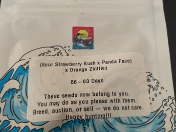 Sell: (Sour a strawberry Kush X Panda Face ) X Orange Zkittles