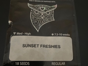 Sell: Sunset Freshies By Cult classic Seeds