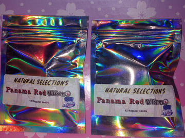 Sell: Panama Red Wilson (Natural Selections) Masonic Seeds