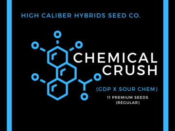 Sell: CHEMICAL CRUSH (GDP x Sour Chem) $77 (11 Regular Seeds)