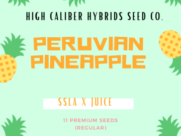 Sell: PERUVIAN PINEAPPLE (SSLA x Juice) $77 (11 Regular Seeds)