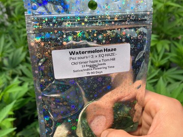 Sell: Watermelon Haze~ 13 Ct Sunny Valley Seeds