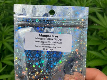 Sell: Mango haze ~13 Ct Sunny Valley Seeds