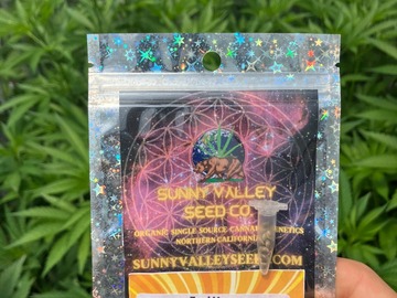 Sell: Fuel Haze ~13Ct Sunny valley Seeds