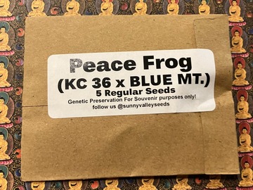 Auction: Peace Frog ~5ct Sunny Valley Seeds