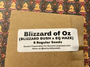 Auction: Blizzard of Oz ~13 ct Sunny Valley Seeds