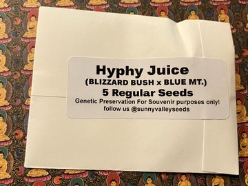 Auction: Hyphy Juice ~ 5Ct Sunny Valley Seeds
