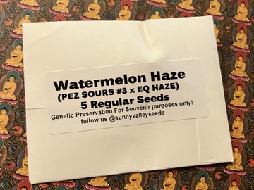 Auction: Watermelon Haze~ 5Ct Sunny Valley Seeds