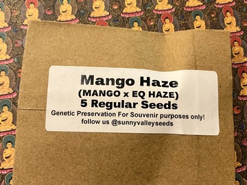 Auction: Mango haze ~5 Ct Sunny Valley Seeds