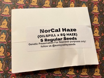 Auction: Nor Cal HAZE~ 5Ct Sunny Valley Seeds