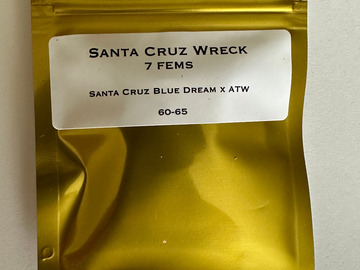Sell: Santa Cruz Goat Farm - Santa Cruz Wreck