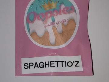 Sell: SpaghettiOz 10 pack reg