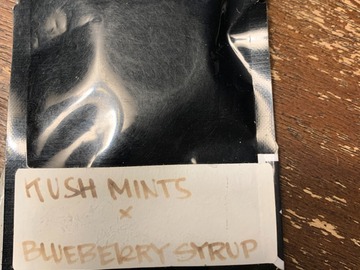 Sell: Calco Genetics - Kush Mints x Blueberry Syrup